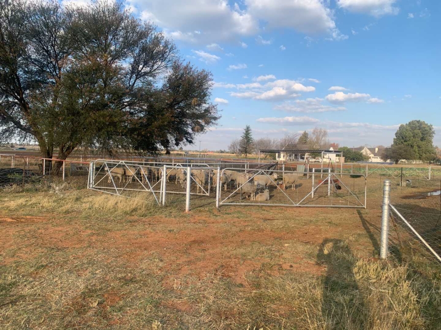 3 Bedroom Property for Sale in Bloemdal Free State